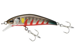 WbJ TM gR[c43HW #S㈼