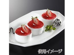 Tto[ fU[gJbv Tx[i N-SB-H-7037 PP 16