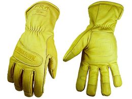 YOUNGST/v FREH[^[v[t AeBbg Pu[(R)