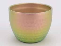 PTYGRACE `^Ɩڂۂ d\ sN