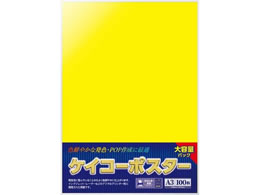 �T�T�K�� �P�C�R�[�|�X�^�[ A3�� ���� ������ 100�� 13-5185