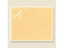 AIgvX N[v h[Y IW 100 004738292