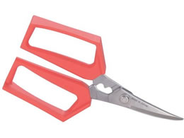 �x�c�n�� �m�� �I�V�o�T�~ �I�����W No.880 1005400