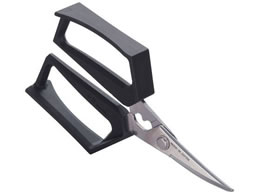 �x�c�n�� �m�� �I�V�o�T�~ �� No.881 1005500