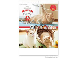 V{J_[ ݂Ƃ낤񂿃J_[ NK8033