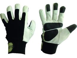 �x�m���/�ؖ{�v��� �g���N���O���b�v