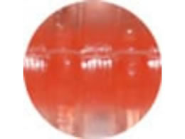 ���C�� �A�W�����K�[Pro #221 �R�A���b�h