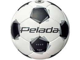 e y[_4000 tbgT F9K4000