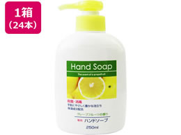 ���Ό� ����p�n���h�\�[�v�{�� 250mL�~24�{