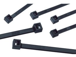 SapiSelco/P[u^C SELFIT(ZtBbg) ϔM^Cv