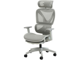 Netforce �_�C�i�~�N�XX�`�F�A �w�b�h���X�g�t �O���[�^�V���o�[�O���[