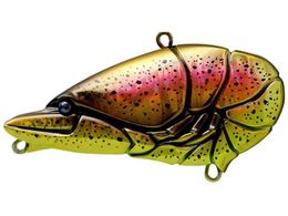 issei GCUoCuJr 57 #50 Vbh(PK)