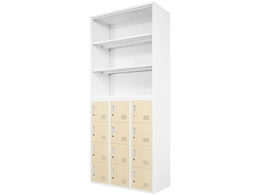 Netforce t@V I[v 12lpbJ[ Zbg NA