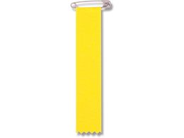 wCR[ J SS-13  10 008750702