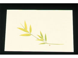 �A�[�e�b�N �ڎO ���΂܂��� �N���[�� 100�� WSS-1 ��