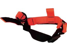 CETACEA ���C�Z�L�����e�B�X�g���b�v IDWBSS