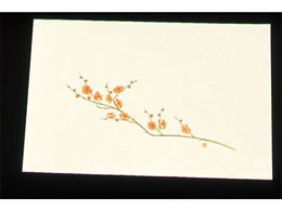 �A�[�e�b�N �ڎO ���΂܂��� �N���[�� 100�� WSS-3 �~