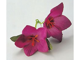 ���}�R�[ �l�G�̉Ԃ���� ����� 100�� �j�[(64256)