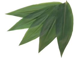 EBM �V�R���t 100���� 5143 7L 8L 5282110