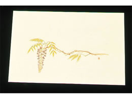 �A�[�e�b�N �ڎO ���΂܂��� �N���[�� 100�� WSS-7 ��