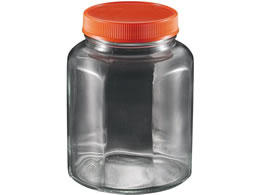 EBM �K���X �ۑ��r�� ���p�^ �I�����W 3653700