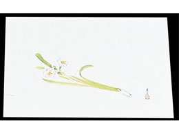 �}�C�� �l�G�� �ݎ� 100���� M33-107 ���� 7961700