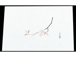 �}�C�� �l�G�� �ݎ� 100���� M33-109 �� 7961900