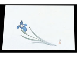 �}�C�� �l�G�� �ݎ� 100���� M33-112 ����� 7962200