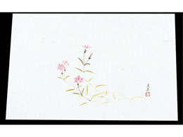 �}�C�� �l�G�� �ݎ� 100���� M33-117 �Ȃł��� 7962500