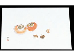 �}�C�� �l�G�� �ݎ� 100���� M33-121 �`�ƌI 7962700