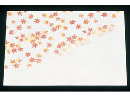 �A�[�e�b�N �ԉ� �ڎO ���΂܂��� 100���� HM-2 ���݂�