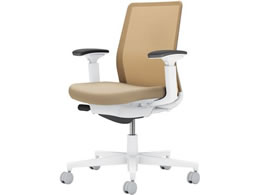 �R�N�� ���l�b�g ���I �\�t�g�x�[�W��