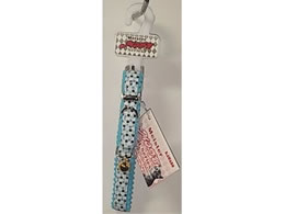 JmY }CX^[ hbgLbgJ[ u[