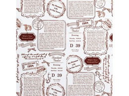 �V������ ���b�N�X�y�[�p�[ 50�� 290�~370 ���S WP5100