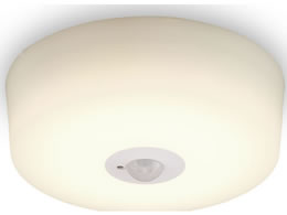 �A�C���X�I�[���} ���^�V�[�����O���C�g �l���Z���T�[ 600lm �d���F