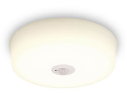 �A�C���X�I�[���} ���^�V�[�����O���C�g �l���Z���T�[ 2000lm �d���F