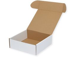 wCR[ t[{bNX F-19 n 10 006205019