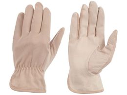 �g������ �ؕ\�v��� �b�i�C���� M 489-M