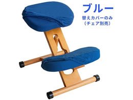 {쏊 v|[V`FApւJo[ u[ CV-8W