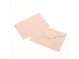 �w�C�R�[ �J���[���� �m2 �g�� �p�X�e���s���N 100�� 007527903