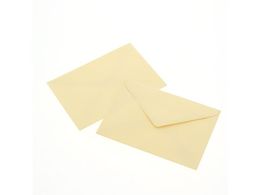 �w�C�R�[ �J���[���� �m2 �g�� �p�X�e���N���[�� 100�� 007527905