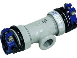 SKJjV/rǗpp SKX}߂˂t`[Y