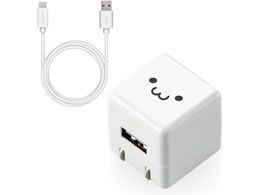 GR AC[d LightningP[u 1m 낿 MPA-ACL04WF