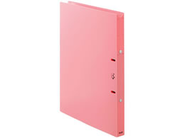 vX  p҃JeOt@C A4^e w24.5 sN