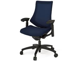 �C�g�[�L �G�t�`�F�A ���b�V�� �n�C�o�b�N ���I �{�̍� �l�C�r�[�u���[