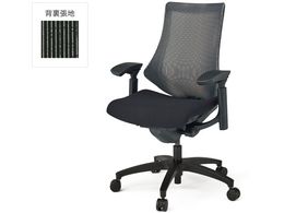 �C�g�[�L �G�t�`�F�A ���b�V�� �n�C�o�b�N ���I �{�̍� �u���b�NT1T2