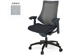 �C�g�[�L �G�t�`�F�A ���b�V�� �n�C�o�b�N ���I �{�̍� �O���[T1W9