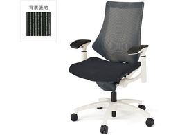 �C�g�[�L �G�t�`�F�A ���b�V�� �n�C�o�b�N ���I �{�̔� �u���b�NW9T2