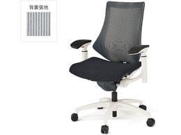 �C�g�[�L �G�t�`�F�A ���b�V�� �n�C�o�b�N ���I �{�̔� �O���[W9W9