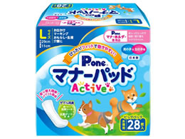 q }i[pbhActive rbOpbN L 28